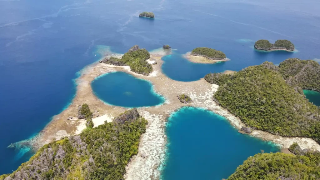 Raja Ampat Misool Tour Packages