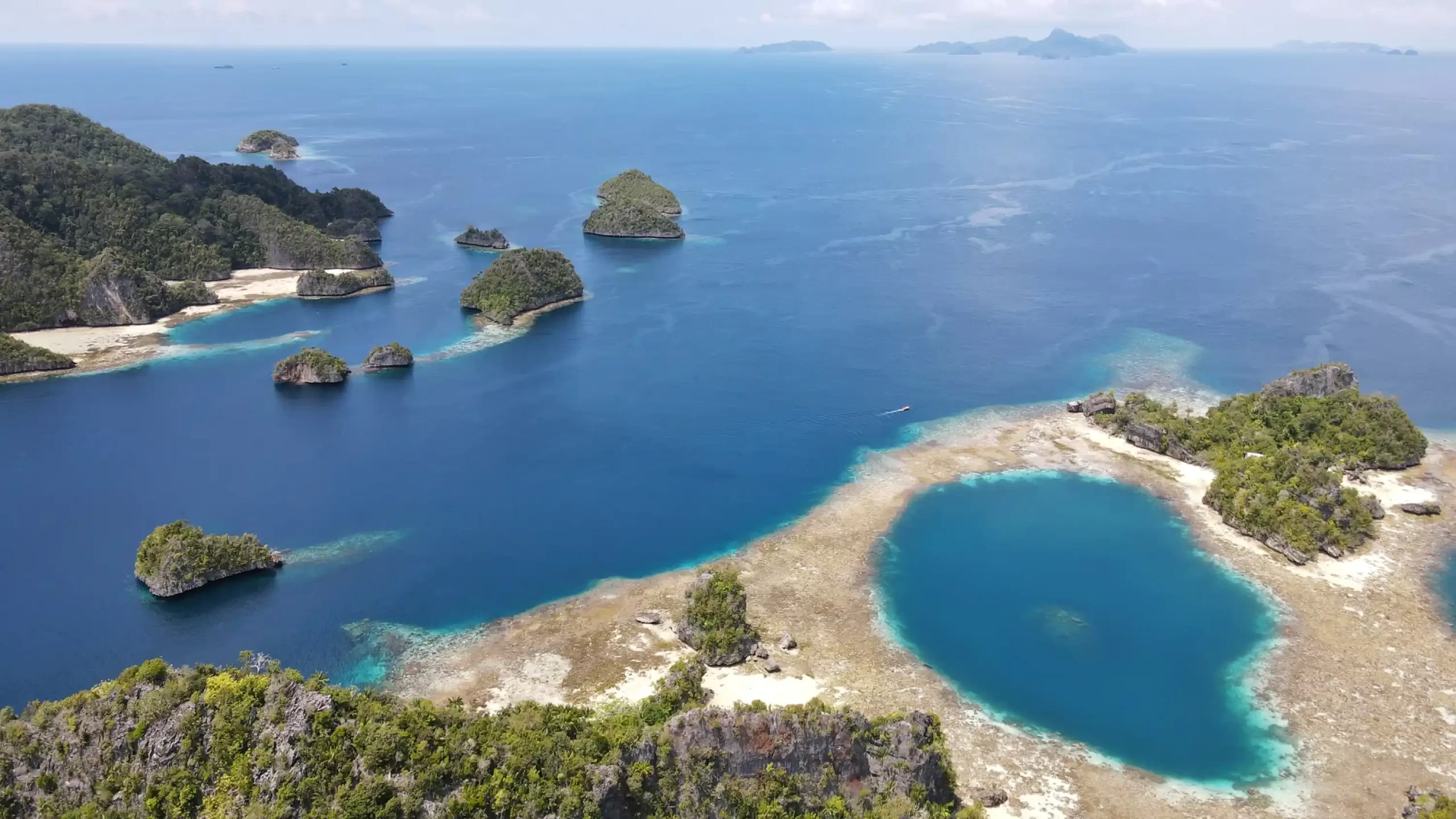 Spots You Must Visit When on Holiday to Misool Papua