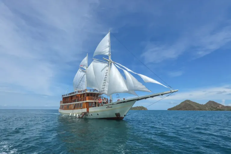 Elrora Liveaboard (2)