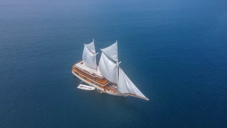 Elrora Liveaboard (7)