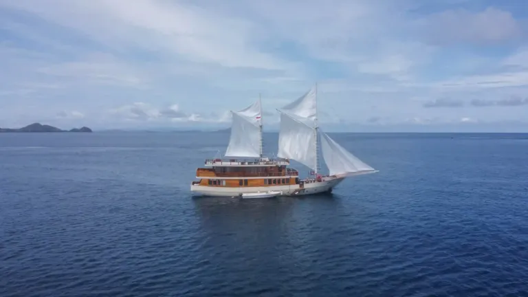 Elrora Liveaboard (8)