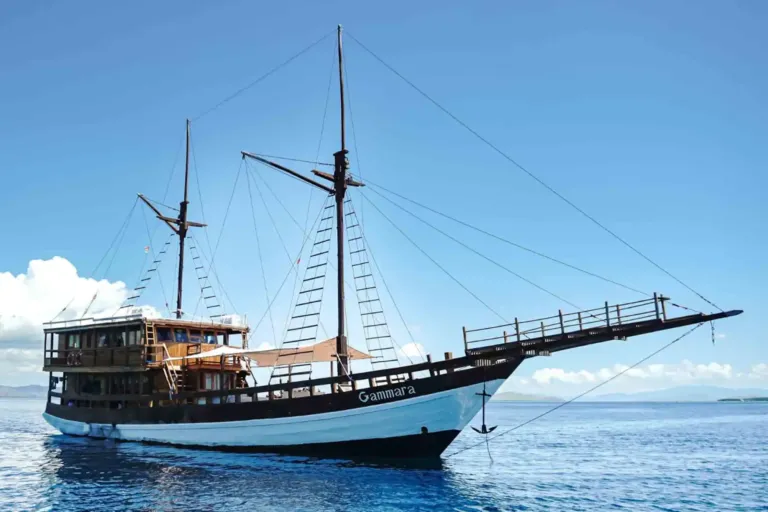 Gammara Phinisi