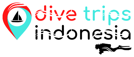Dive Trips Indonesia