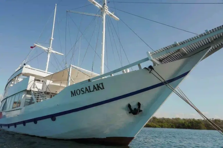 Mosalaki (2)