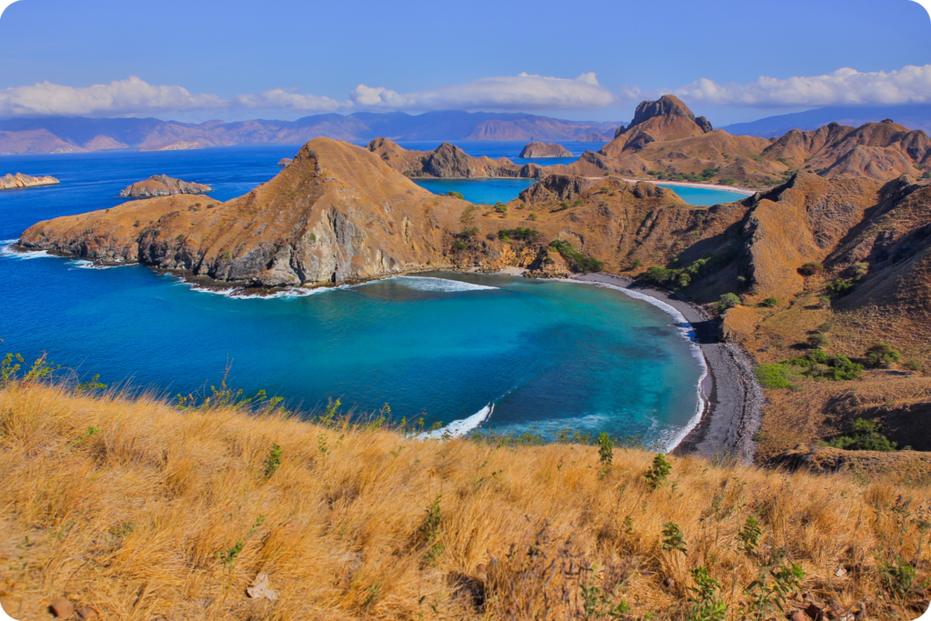 Padar Island view from the trail: a bay with dark sand below the golden grass of the hills