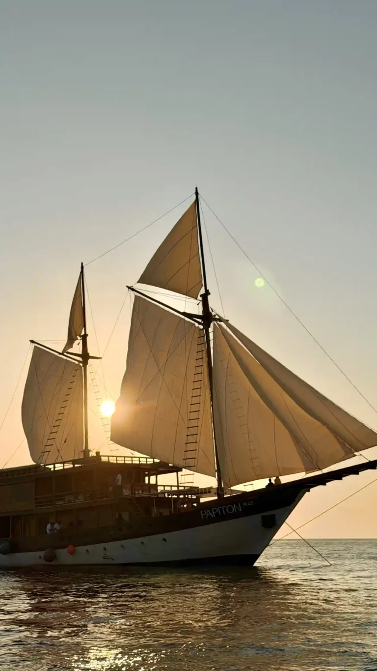 Papiton Allo liveaboard