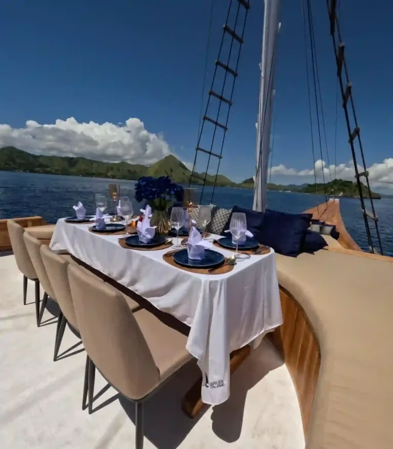 Raffles Cruise (3)