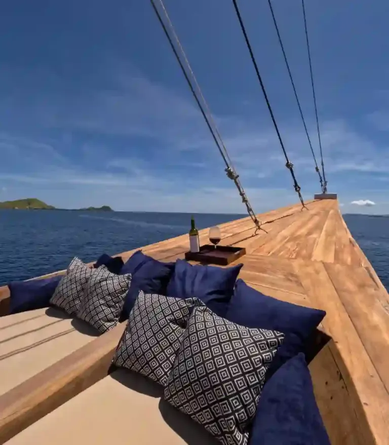 Raffles Cruise (5)