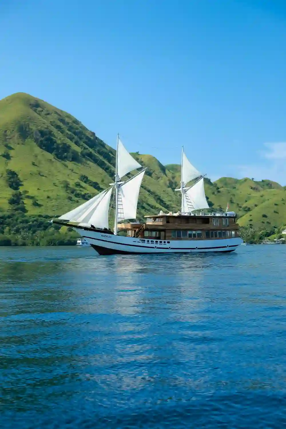Raffles Cruise