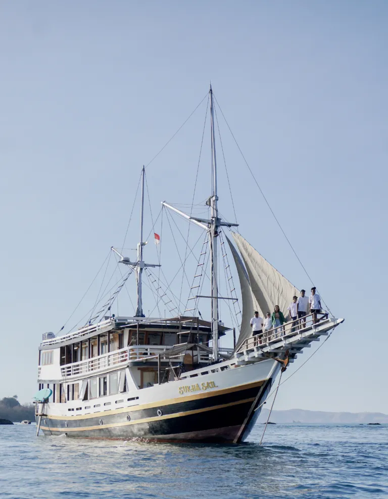 Sukha Sail 1