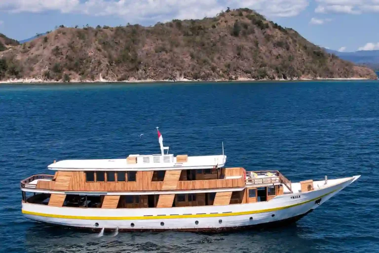 Vhale liveaboard
