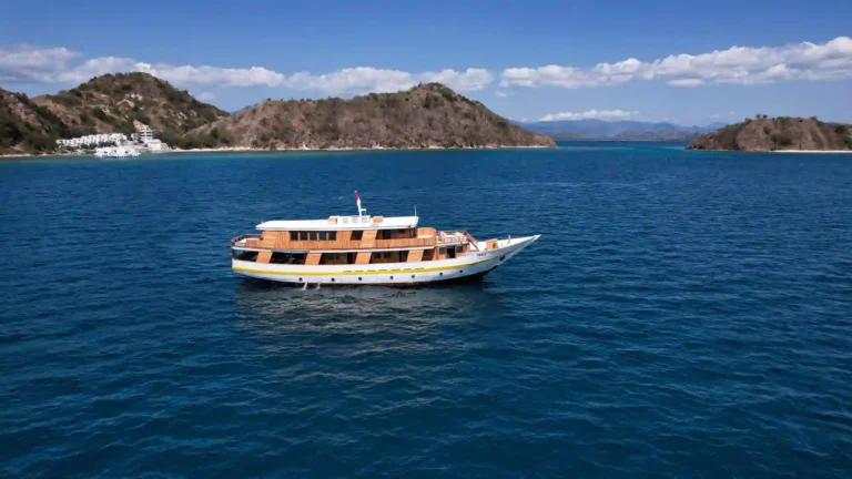 Vhale liveaboard