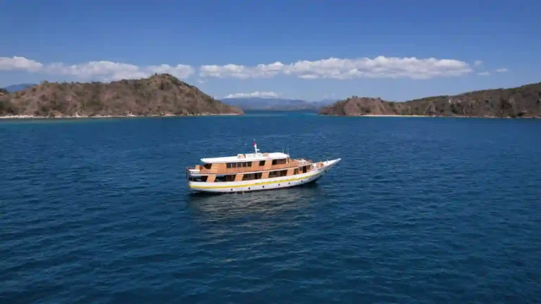 Vhale liveaboard