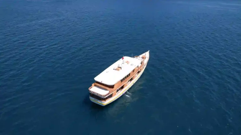 Vhale liveaboard