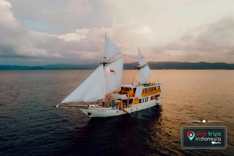 Gandiva, a phinisi liveaboard