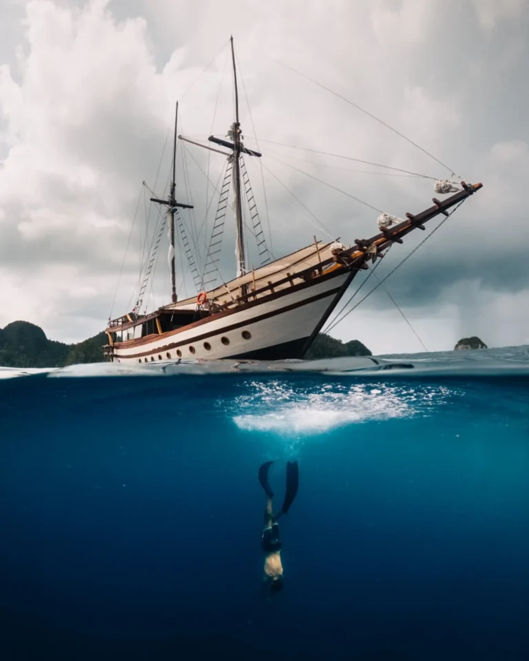 Senja – Activity Freedive