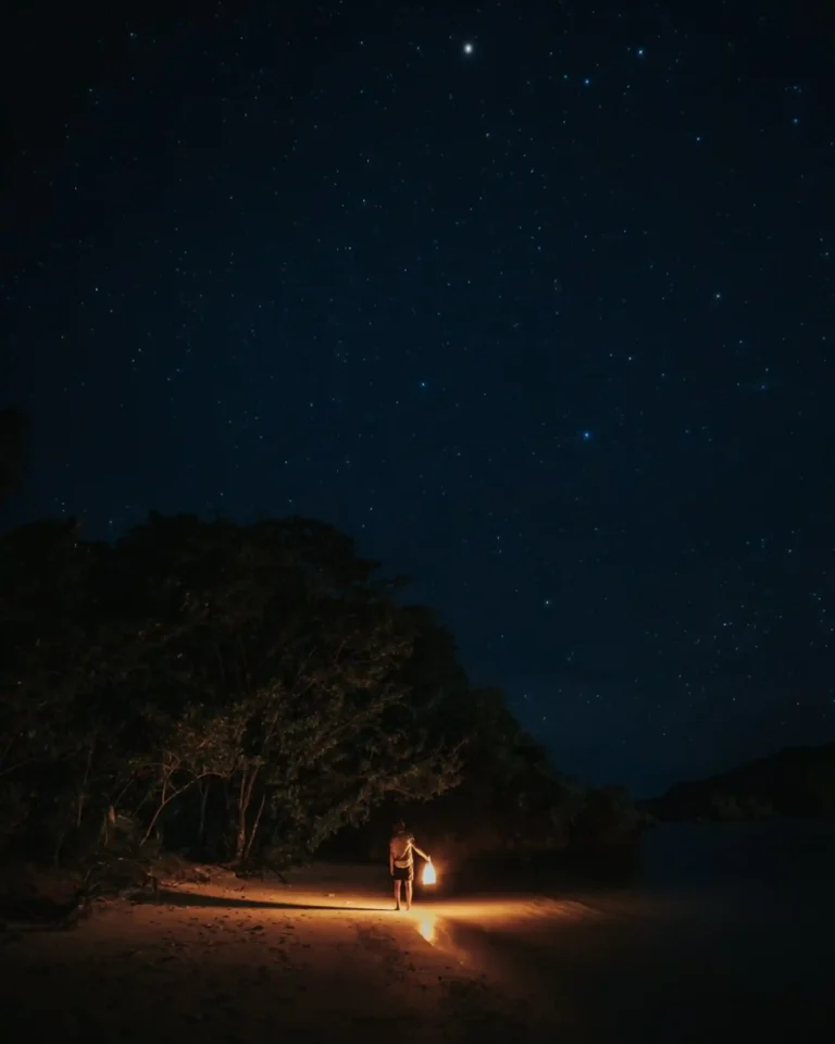 Senja – Night Walk Beach